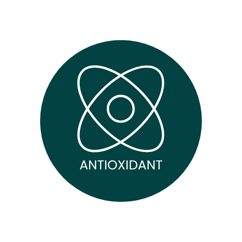 A dark green circular icon with a white outline of a circle in the center. Four white arrows point inward toward the circle from each corner, symbolizing reduction. Below the graphic, the words 
