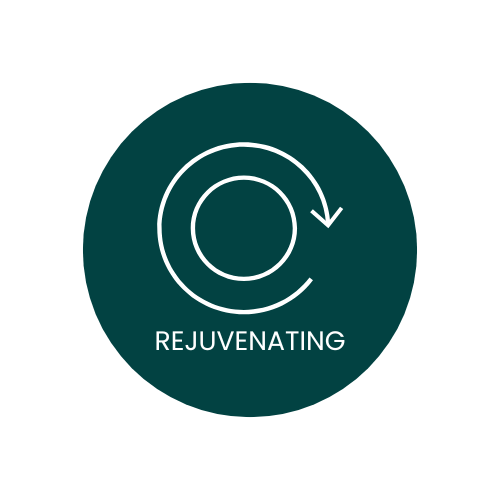 A dark green circular icon with a white outline of a circle in the center. Four white arrows point inward toward the circle from each corner, symbolizing reduction. Below the graphic, the words 